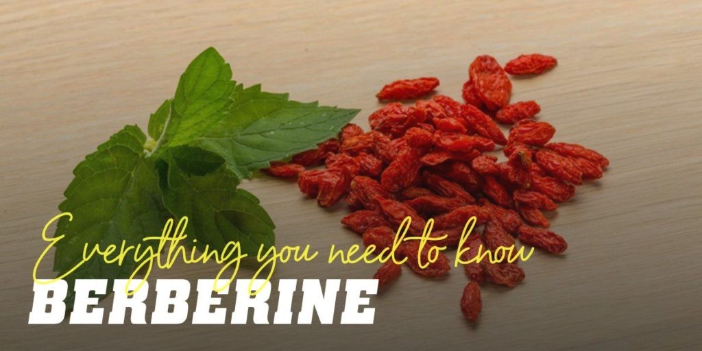 Berberine: A Versatile Natural Remedy