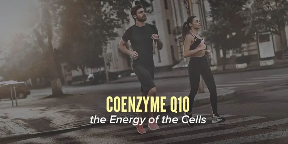 Coenzyme Q10: Boosting Cellular Energy