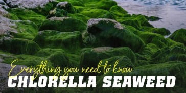 Detox Your Body Naturally with Chlorella