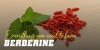 Berberine: A Versatile Natural Remedy